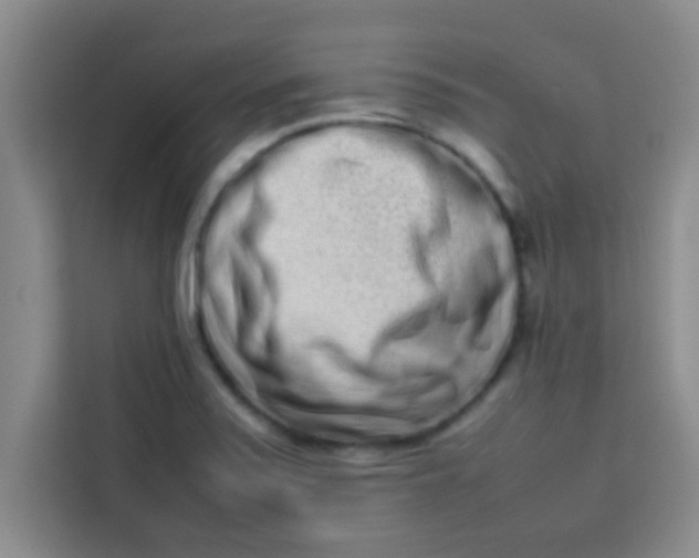 X0000113761371200910071123