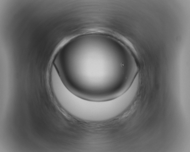 X0000113761373200910071123