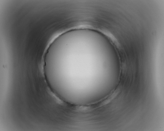 X0000113761374200910071123