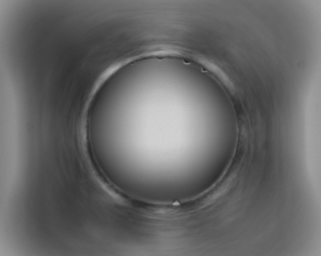 X0000113761375200910071123