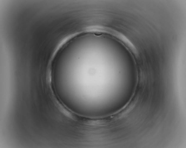 X0000113761376200910071123