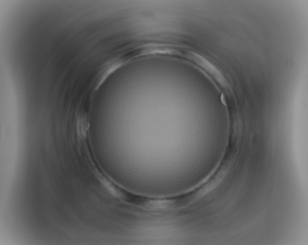 X0000113761377200910071123
