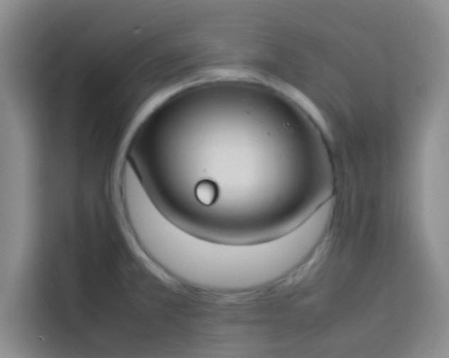 X0000113761381200910071123