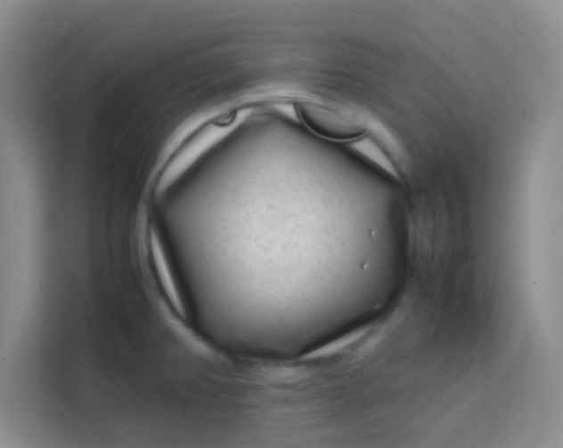 X0000113761382200910071123