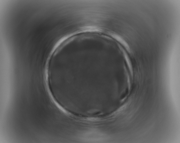 X0000113761383200910071123