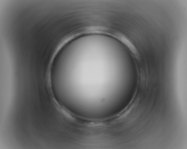 X0000113761384200910071123