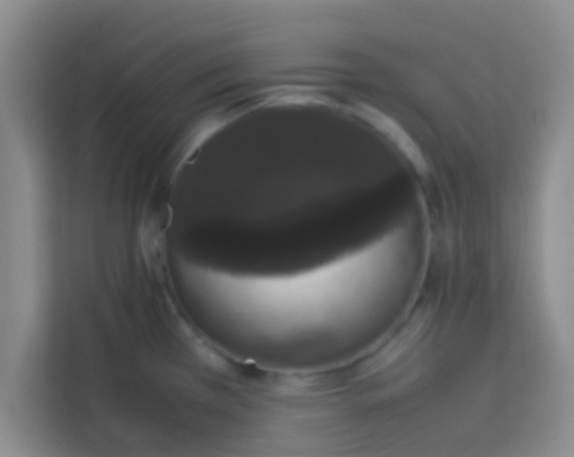 X0000113761385200910071123