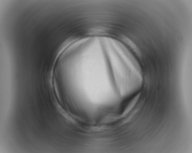 X0000113761386200910071123