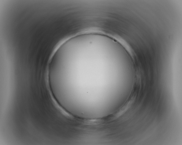 X0000113761390200910071123