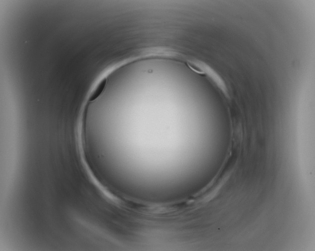X0000113761391200910071123