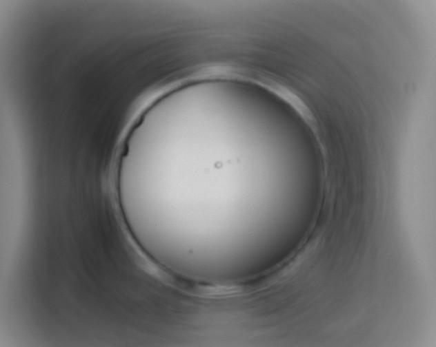 X0000113761392200910071123