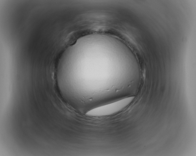 X0000113761396200910071122