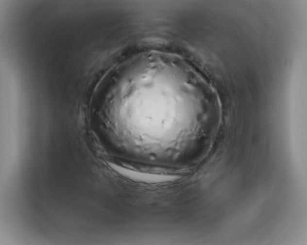 X0000113761397200910071122