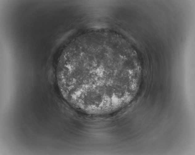 X0000113761398200910071122