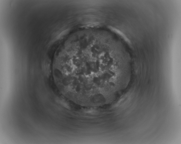 X0000113761399200910071122