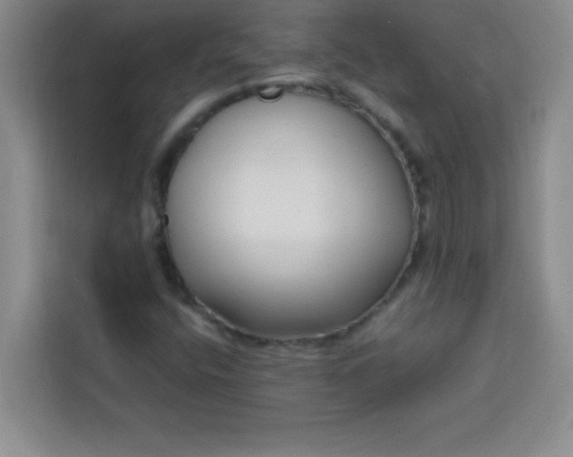 X0000113761400200910071122