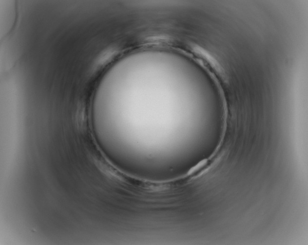 X0000113761403200910071122