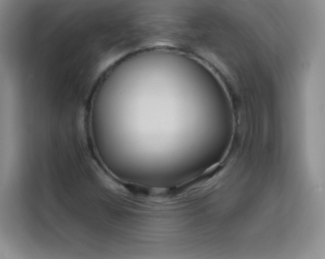 X0000113761404200910071122