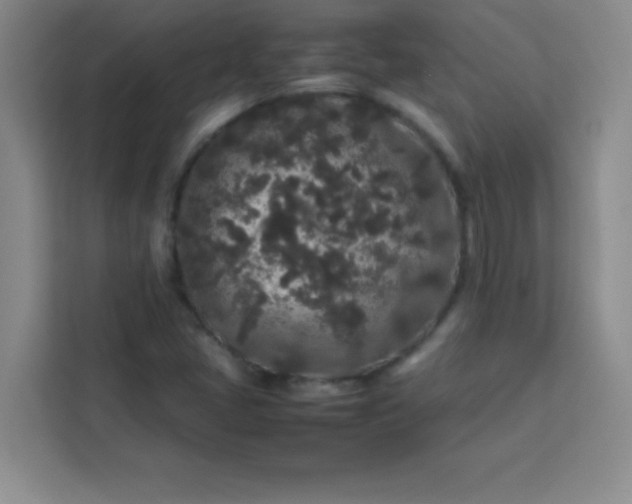 X0000113761405200910071122