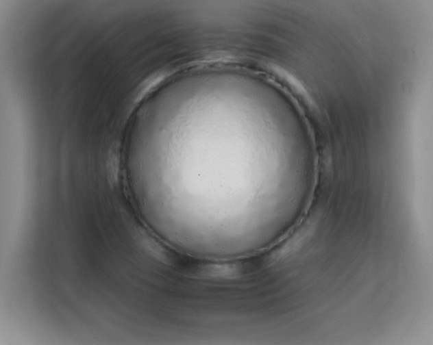 X0000113761409200910071122