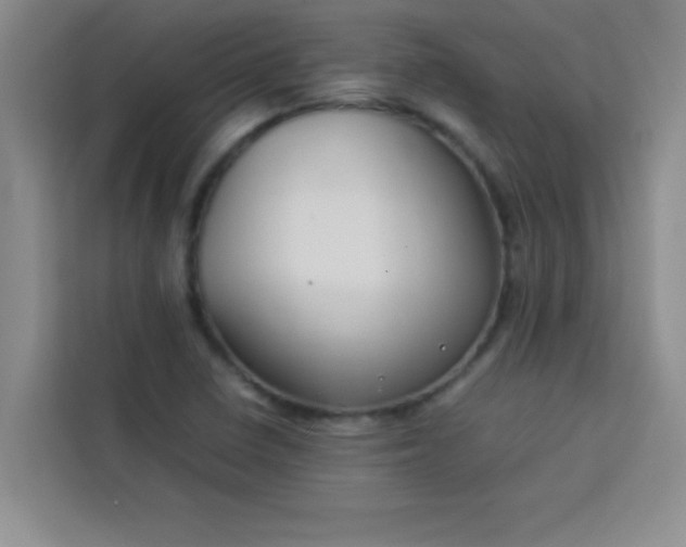 X0000113761410200910071122