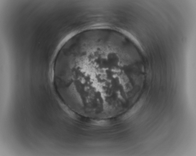 X0000113761413200910071122