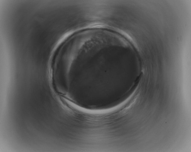 X0000113761414200910071122