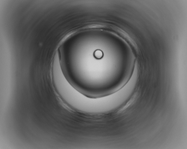 X0000113761417200910071122