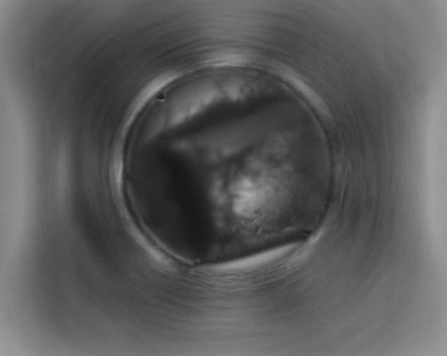 X0000113761418200910071122