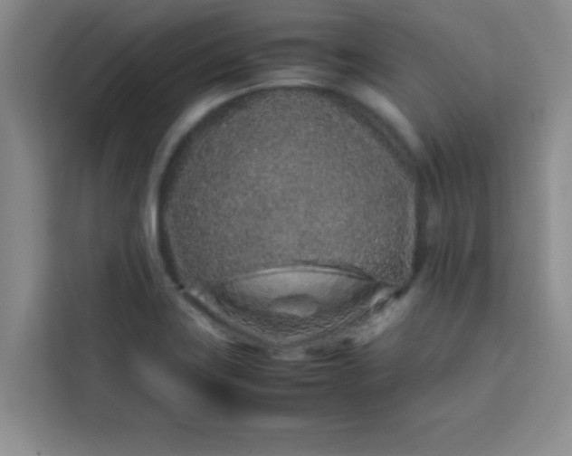 X0000113761419200910071122