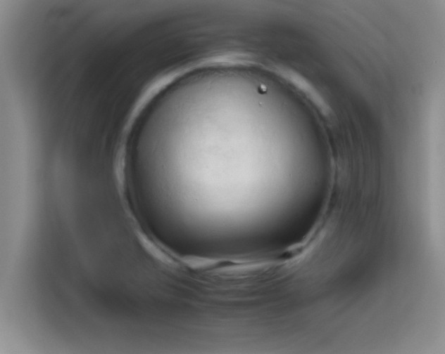 X0000113761421200910071122