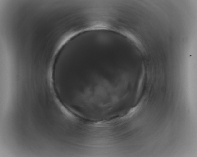 X0000113761422200910071122