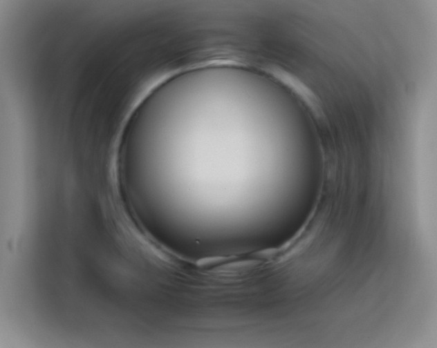 X0000113761423200910071122