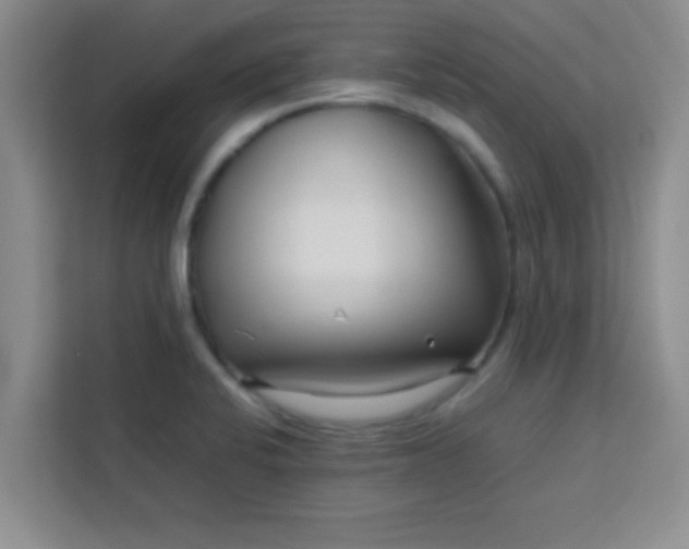 X0000113761424200910071122