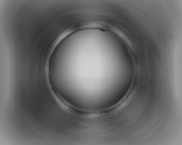 X0000113761426200910071122