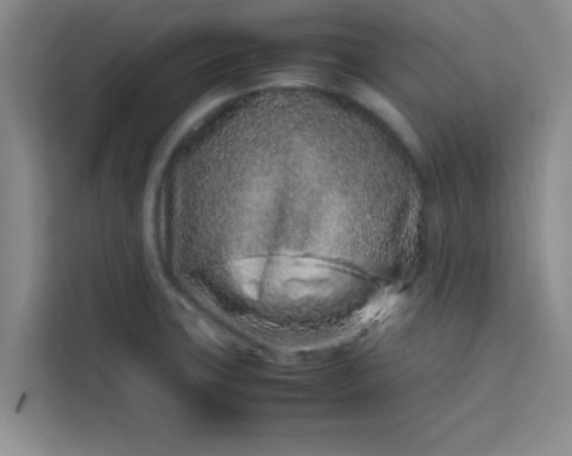 X0000113761427200910071122