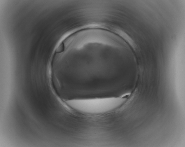 X0000113761428200910071122