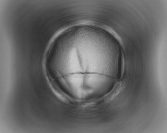 X0000113761429200910071123
