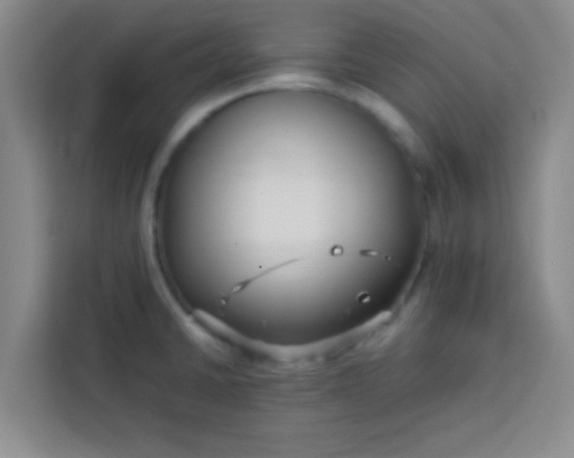 X0000113761430200910071123