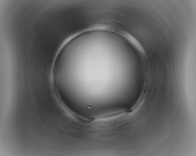 X0000113761436200910071123