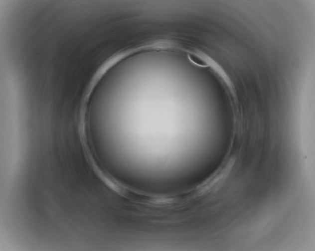 X0000113761437200910071123