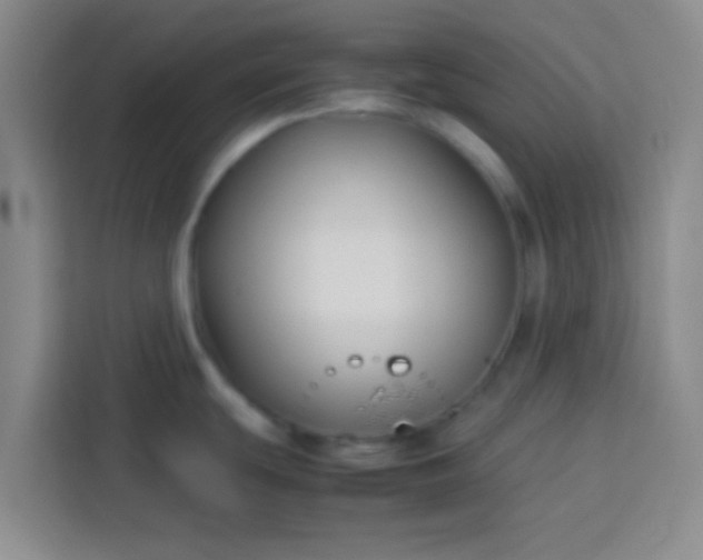 X0000113761439200910071123