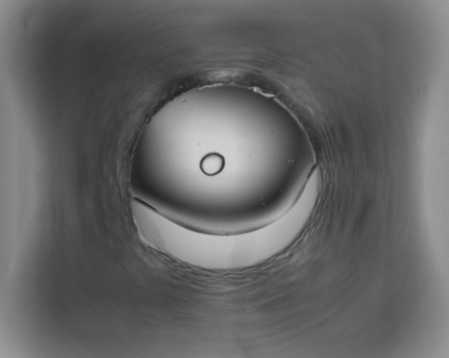 X0000113761441200910071122