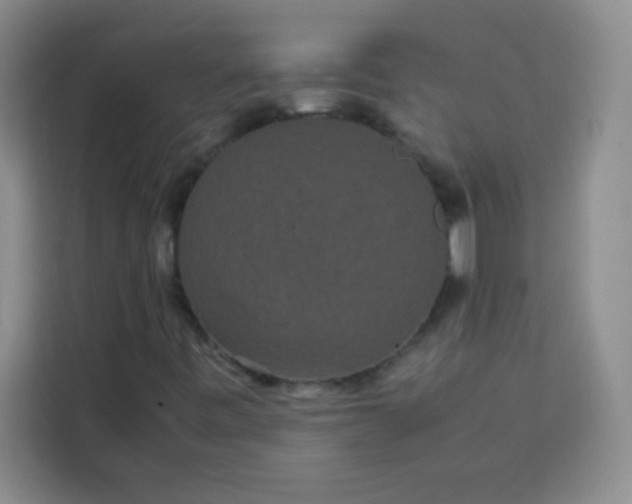 X0000113761443200910071122