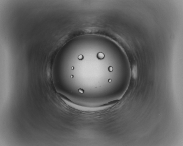 X0000113761444200910071122