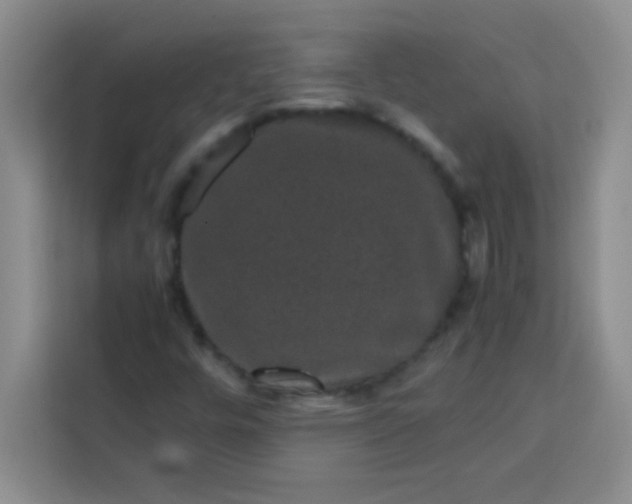 X0000113761448200910071122