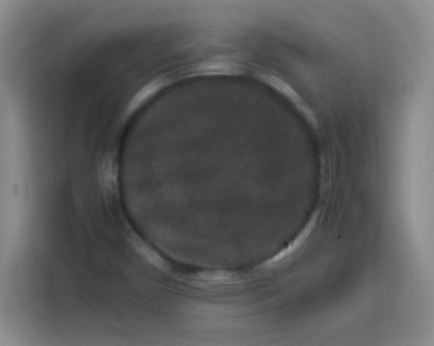 X0000113761450200910071122