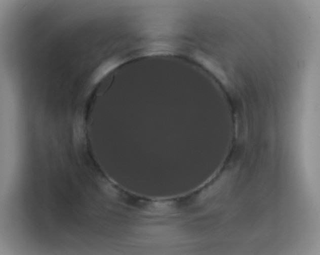 X0000113761453200910071122