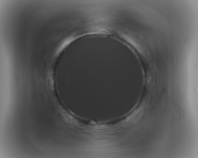 X0000113761455200910071122