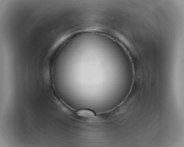 X0000113761456200910071122